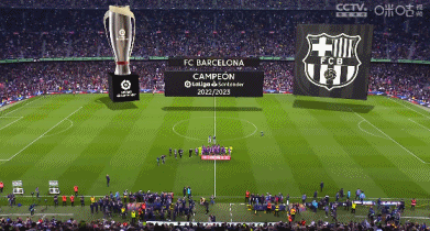 这队值得更高的排名